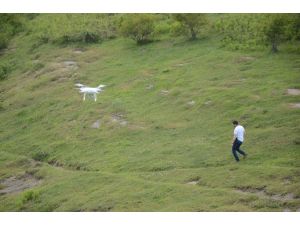 Türkiye genelindeki uyuşturucu operasyonu