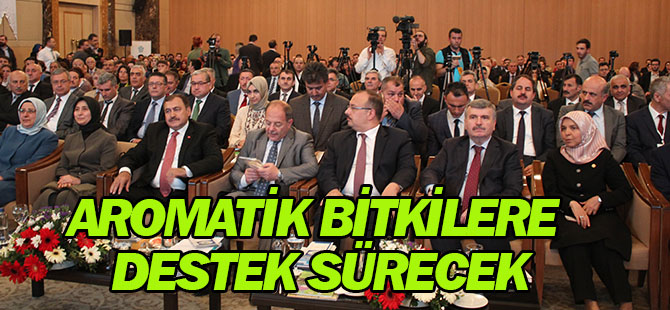 Aromatik bitkilere destek sürecek