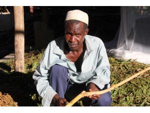 Yükselen Afrika - Baharat adası Zanzibar'da üreticinin "tadı" yok