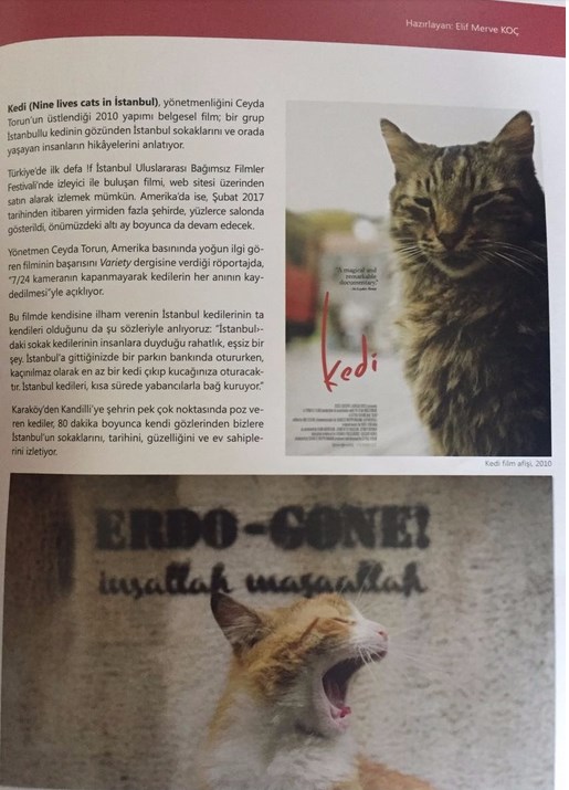 Kadir Topbaş, Erdoğan'a hakaret hata değil 'komplo' dedi