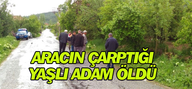 Camiye Giderken Aracın Çarpıp Kaçtığı Yaşlı Adam Ölü Bulundu