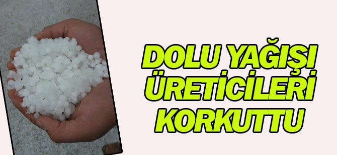 Konya'da dolu yağışı üreticileri korkuttu