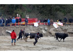 23. Çamlıhemşin Ayder Kültür Sanat ve Doğa Festivali