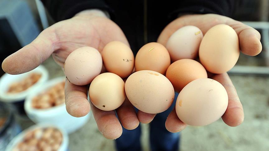Yumurta fiyatları düştü tavuk fiyatları yükseldiv