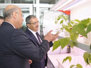 Selçuk’ta Sanayi Tipi Hibrit Domates çeşidi geliştirildi