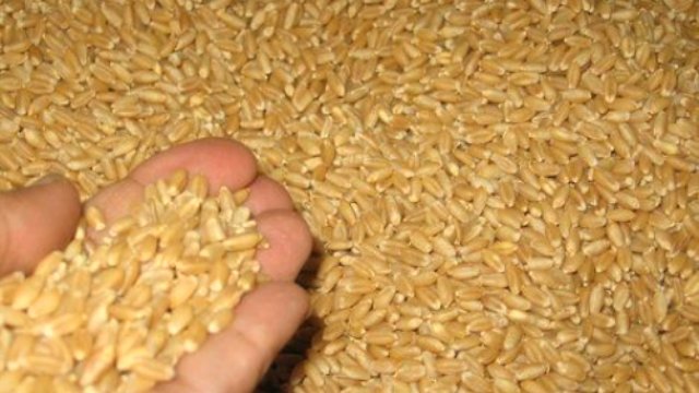 Konya Ticaret Borsası