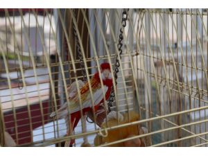 Galatasaray Adası'ndaki yıkım