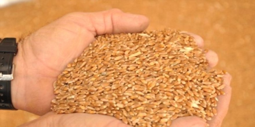 Konya Ticaret Borsası'nda bugün