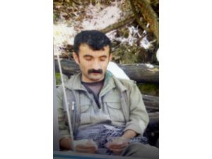 Terör örgütü PKK'nın "sözde özel güç sorumlusu" öldürüldü