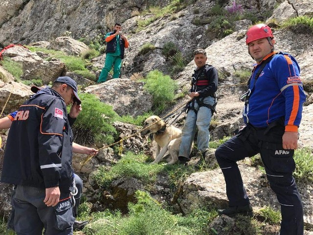Pulsar, dağdan kurtalırlıdı