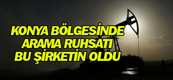Petrol arama ruhsatı bu şirketin oldu