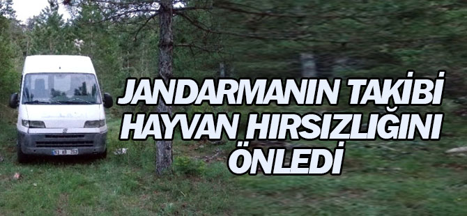 Beyşehir'de Jandarmanın Takibi Hayvan Hırsızlığını Önledi