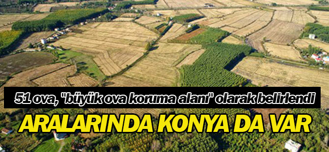 Bakanlar Kurulu Kararı ile koruma altına alınıyorlar