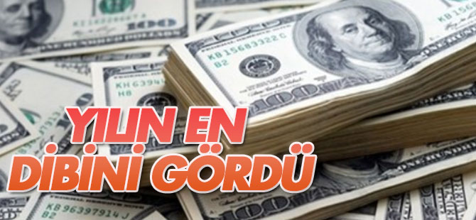 Dolar/TL yılın en düşük seviyesine geriledi