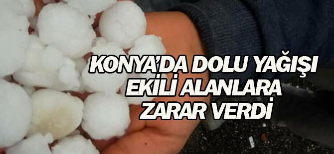 Konya'da dolu ekili alanlara zarar verdi