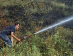 Anız yangını mısır tarlalarına sıçradı