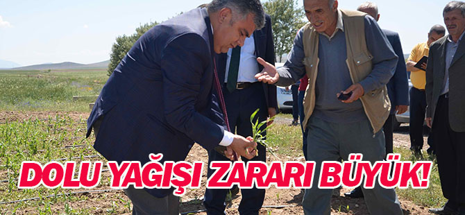 Ereğli'de dolu yağışının ardından arazide incelemeler sürüyor