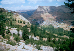 Doğa Tutkusu