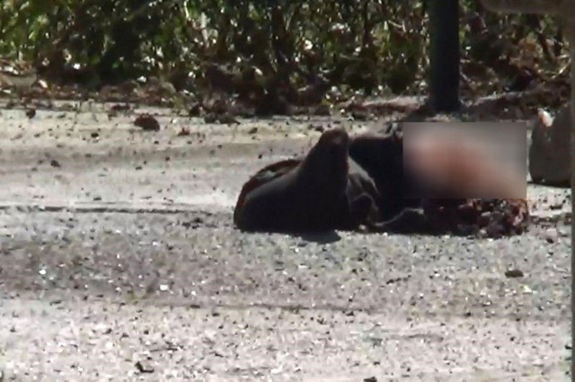 İran'da Meclis'e ve Humeyni'nin Türbesine Saldırı! 2 Canlı Bomba Kendini Patlattı