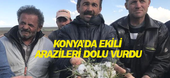Konya'da Meyve Bahçelerini ve Ekili Arazileri Dolu Vurdu