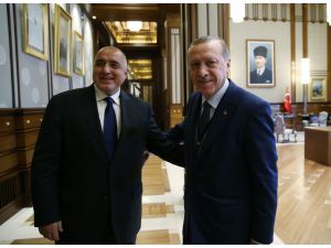 Cumhurbaşkanı Erdoğan'ın kabulü