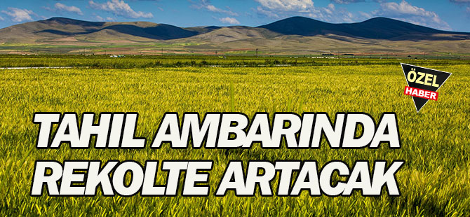 Tahıl Ambarında Rekolte Artacak