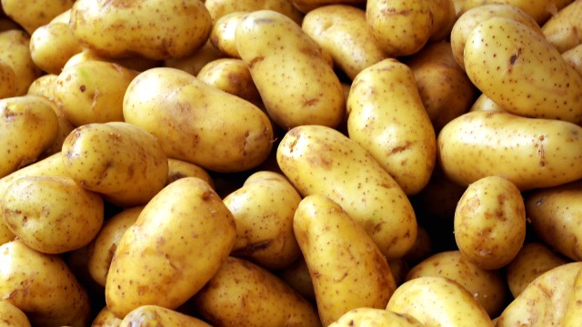 ​Afyonkarahisar, patates üretiminde Türkiye’de 3. sırada