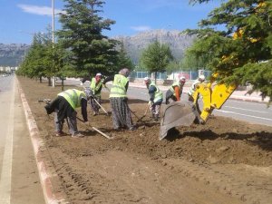 Park ve bahçelere kadın eli değdi