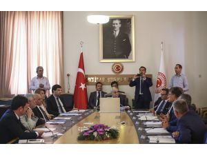 Mehmet Babaoğlu, Meclis Çölyak Hastalığı Araştırma Komisyonuna seçildi