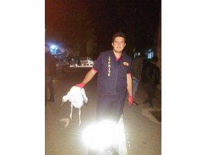 Derebucak'ta leylek kurtarma operasyonu