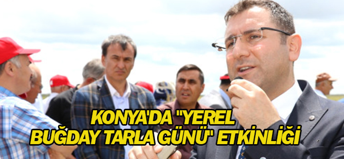 Konya'da "Yerel Buğday Tarla Günü" Etkinliği