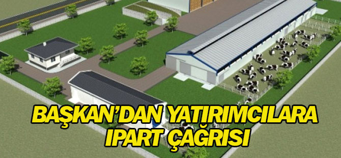 Ipart İkinci Başvuru Çağrısı
