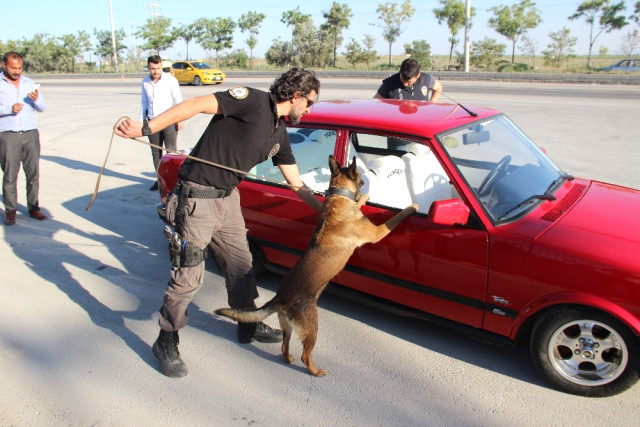 Narkotik Köpeği 'Oscar' Bayram Mesaisinde