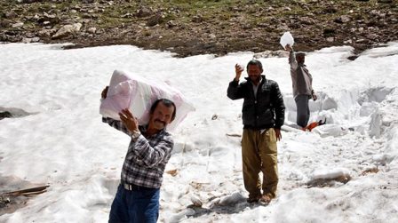 Sıcaktan bunalan Torosların karıyla serinliyor