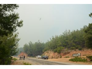 GÜNCELLEME - Mersin'de orman yangını