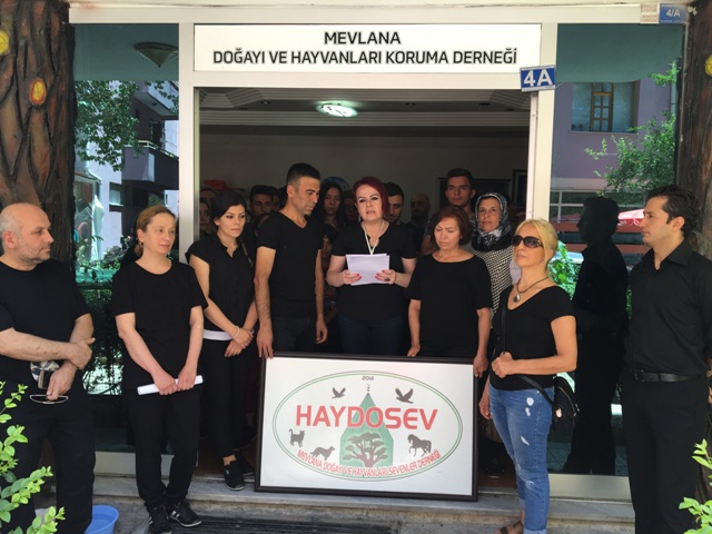 Hayvanseverler sokak hayvanları için eylem yaptı