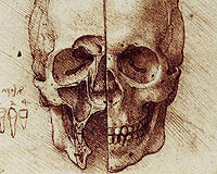 Korkunç iddia: Ölüm kuyuları taşındı