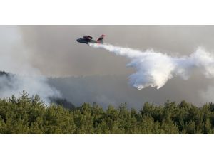 İzmir'deki maki ve orman yangını