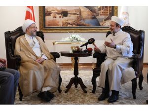 Diyanet İşleri Başkanı Görmez'e ziyaret