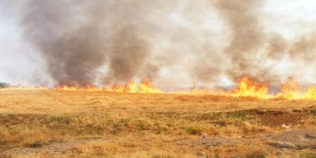 Kulu'da arpa ekili tarlada yangın çıktı