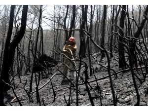 İzmir'deki orman yangınında soğutma çalışmaları sürüyor