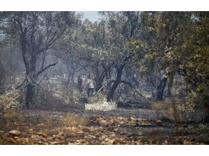 GÜNCELLEME - Antalya'da yangın