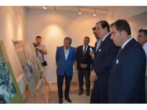 Srebrenitsa soykırımının 22. yılı