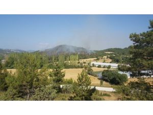 GÜNCELLEME - Bolu'da orman yangını