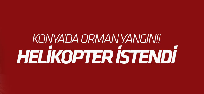 Konya'da orman yangını! Helikopter istendi