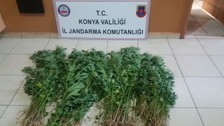 Uyuşturucu operasyonu