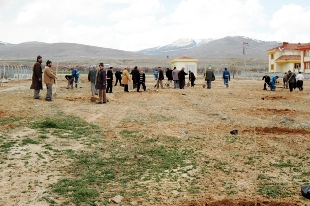 Hacıveyiszade adına dutluk oluşturuldu