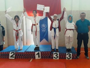 Taekwondo turnuvası Akören’de yapıldı