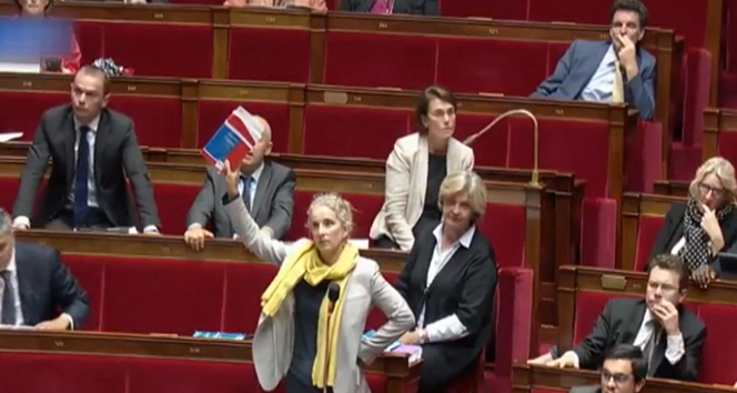 Fransa meclisinde yasa tasarısı tepkisi