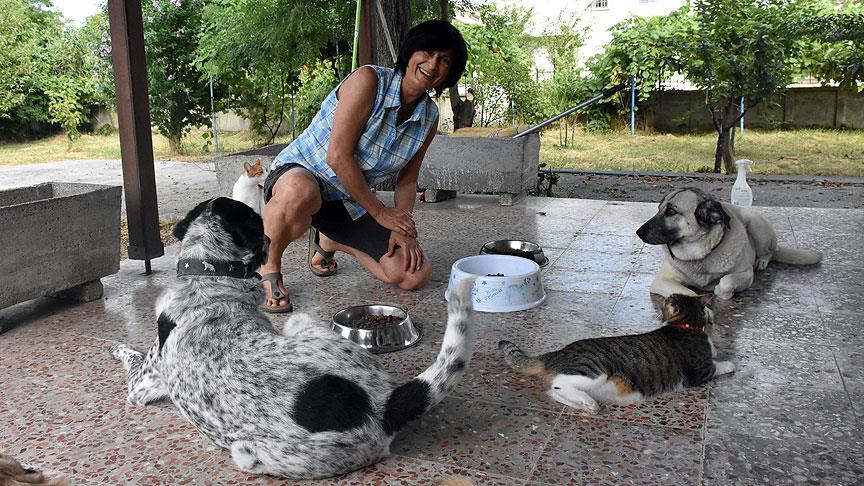 Emekli maaşını sokak hayvanları için harcıyor